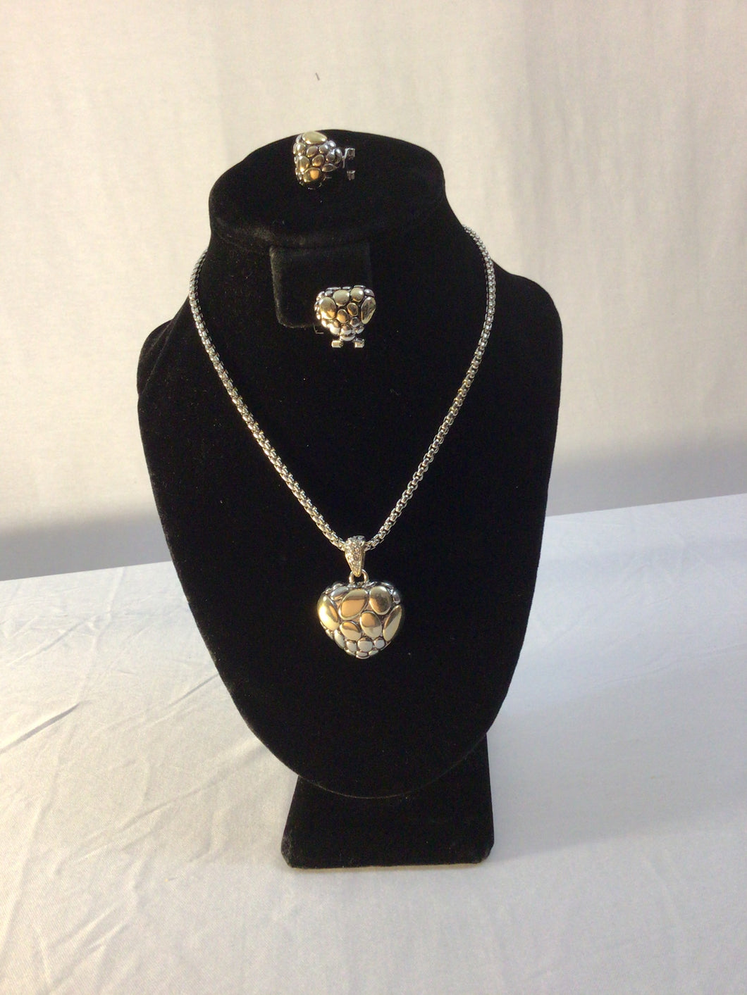 Silver/Gold Toned Heart Necklace Earring Set